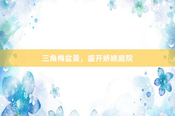 三角梅盆景，盛开娇娆庭院