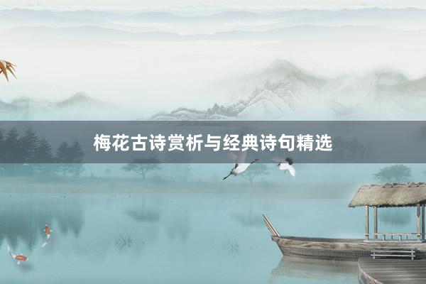 梅花古诗赏析与经典诗句精选