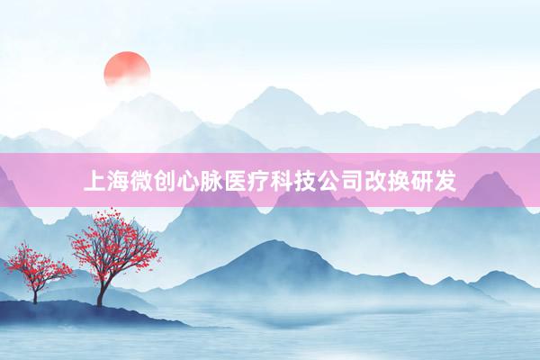 上海微创心脉医疗科技公司改换研发
