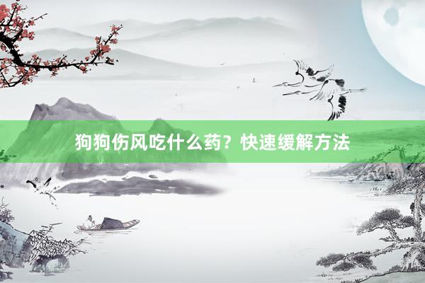狗狗伤风吃什么药?快速缓解方法