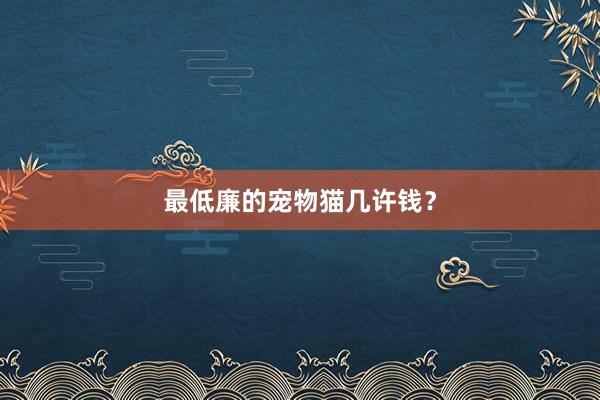 最低廉的宠物猫几许钱？