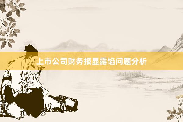 上市公司财务报显露馅问题分析