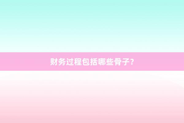 财务过程包括哪些骨子？
